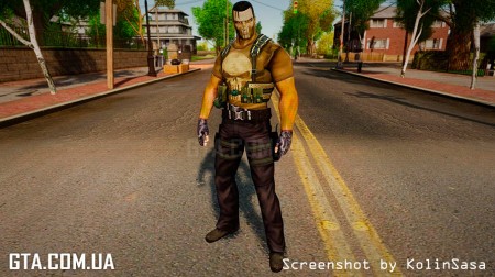 The Punisher The Punisher